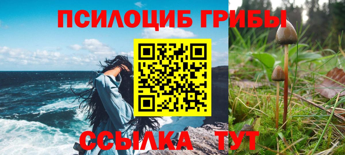 Галлюциногенные грибы GOLDEN TEACHER  Вход с VPN  что такое наркотик  Кинель  Галлюциногенные грибы мицелий 